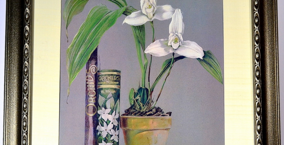 Natura Morta With Flowers And Books