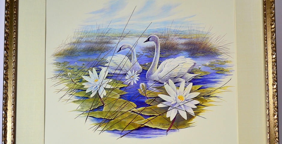 Swans